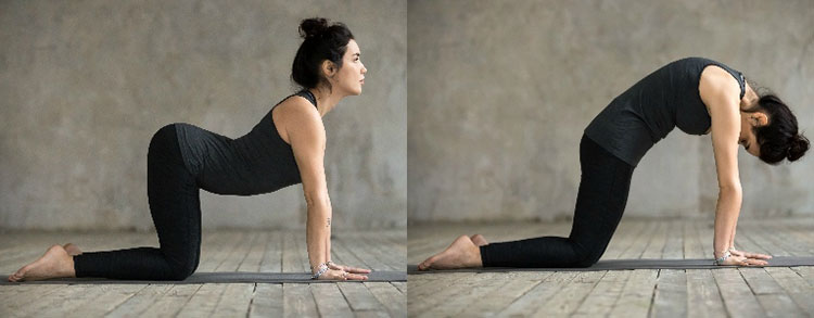 Tác dụng của Các bài tập Yoga chữa đau khớp vai gáy